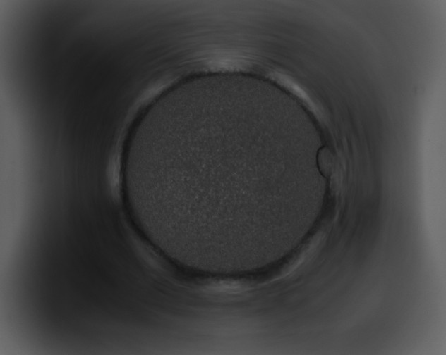 X0000100420677200806061403