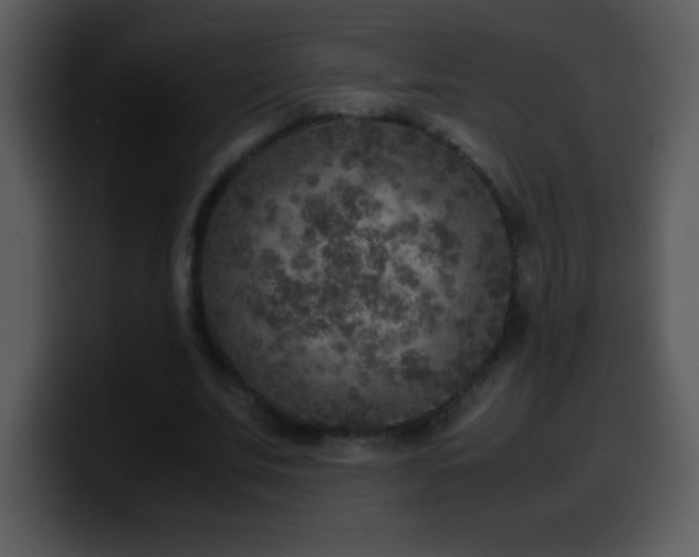 X0000100420679200806061403