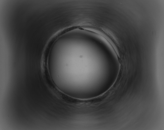 X0000100420680200806061403