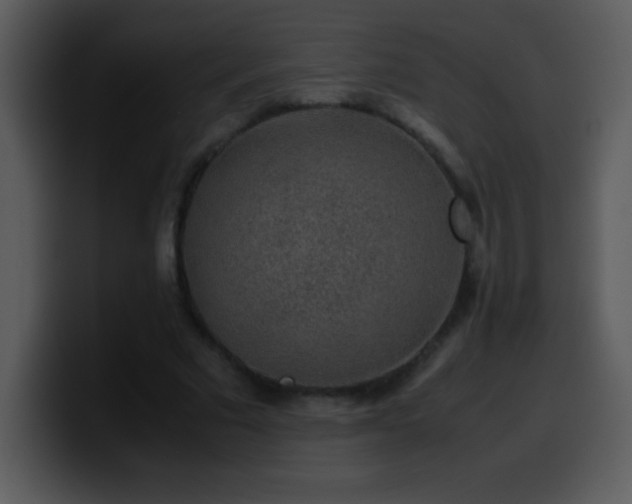 X0000100420681200806061403