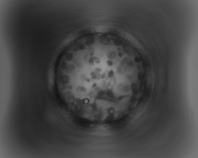 X0000100420683200806061403