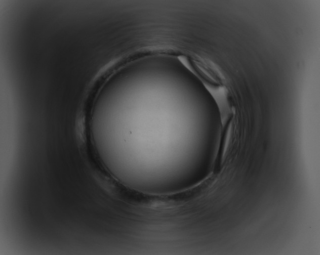 X0000100420684200806061403