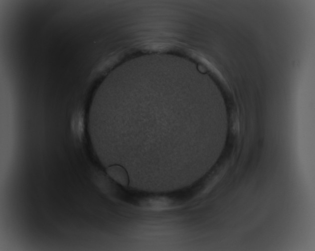 X0000100420685200806061403
