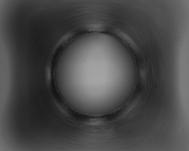 X0000100420686200806061403