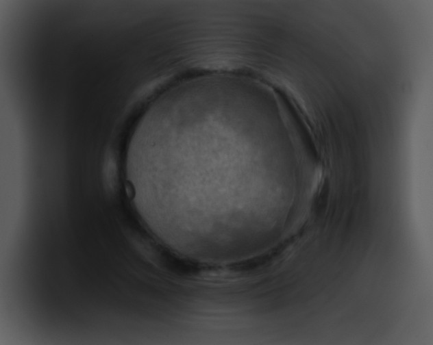 X0000100420688200806061403