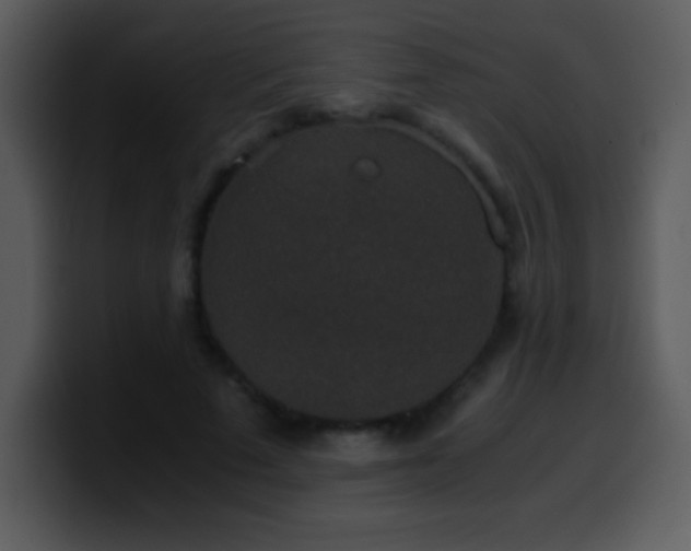 X0000100420689200806061403