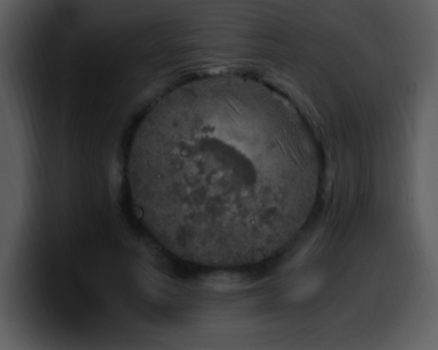 X0000100420691200806061403