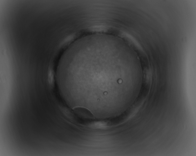 X0000100420692200806061403