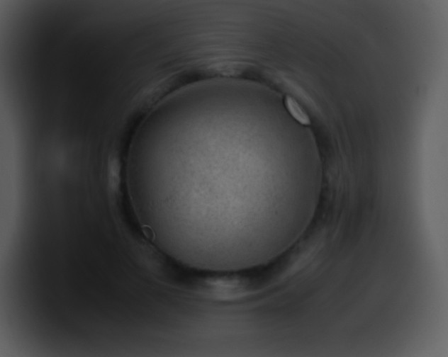 X0000100420693200806061403