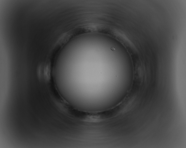X0000100420694200806061403