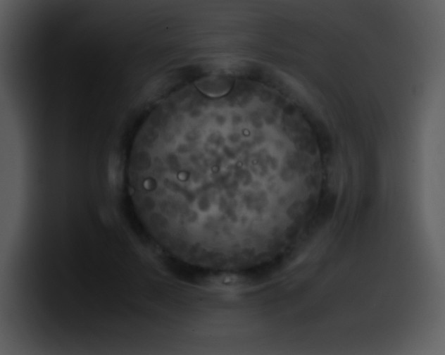X0000100420695200806061403