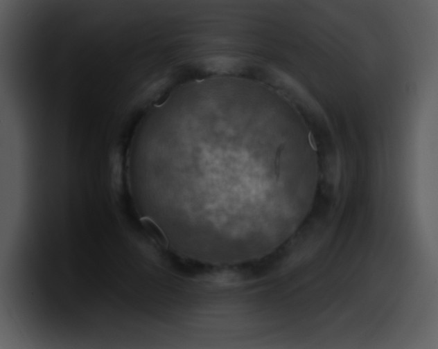 X0000100420696200806061403