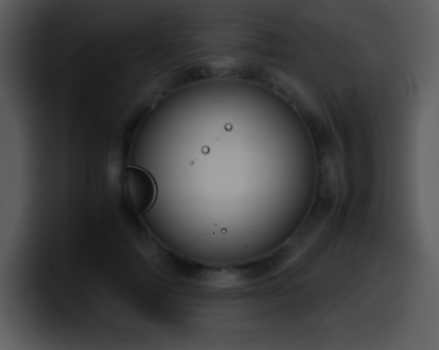 X0000100420698200806061403