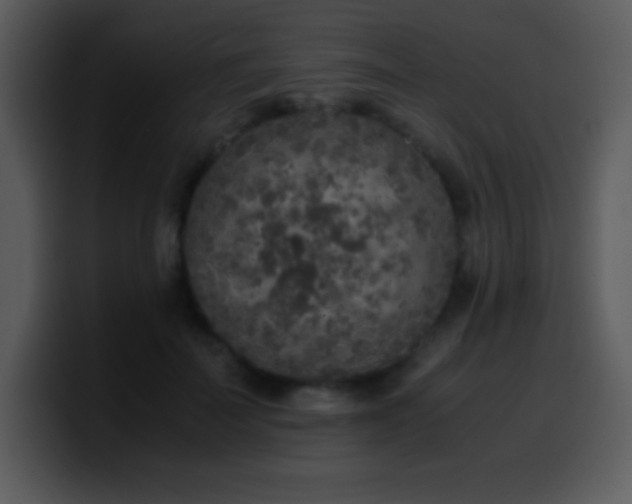 X0000100420699200806061403