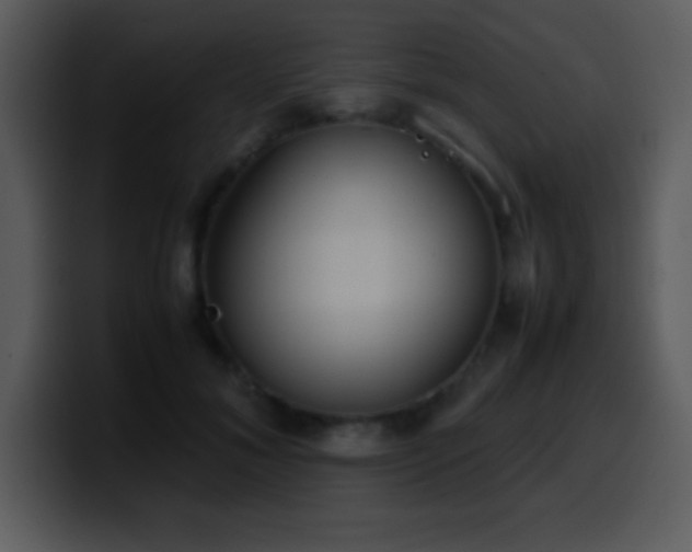 X0000100420700200806061403
