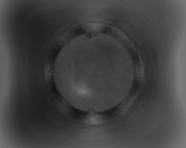 X0000100420701200806061403