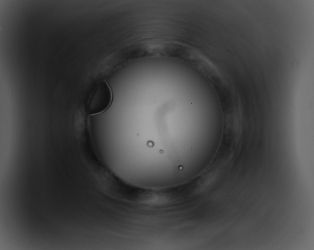 X0000100420702200806061403
