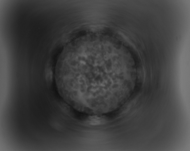 X0000100420703200806061403