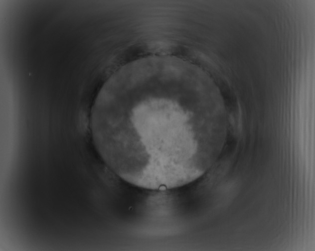 X0000100420705200806061403
