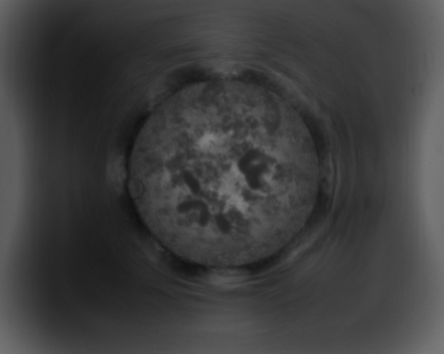 X0000100420707200806061403