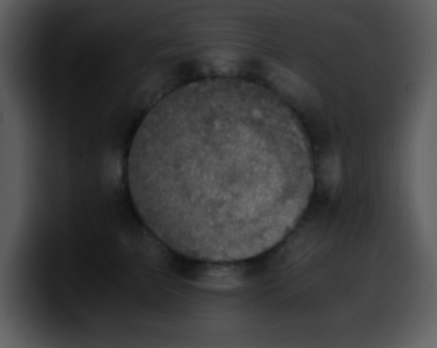 X0000100420709200806061403