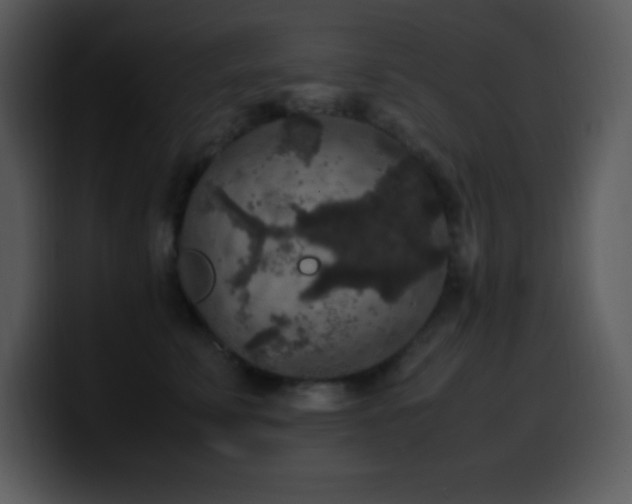 X0000100420711200806061403