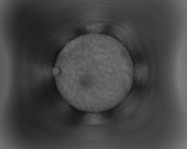 X0000100420713200806061403