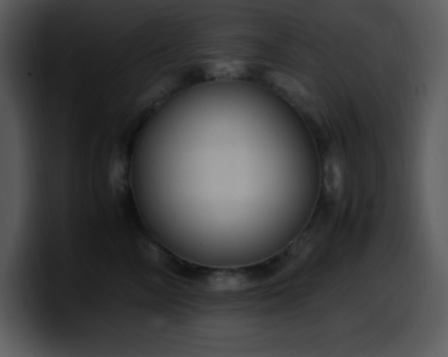 X0000100420714200806061403
