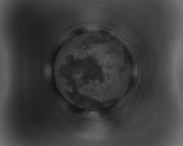 X0000100420715200806061403