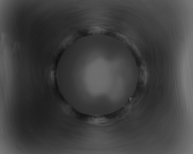 X0000100420716200806061403
