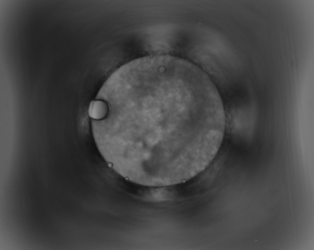 X0000100420717200806061403