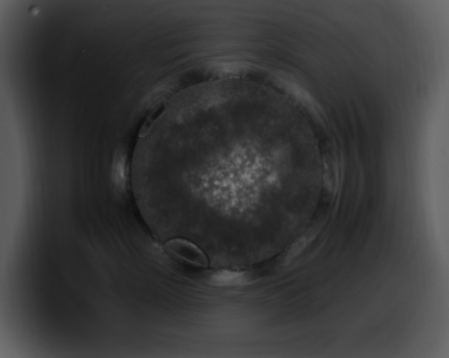 X0000100420718200806061403