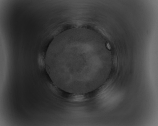 X0000100420719200806061403