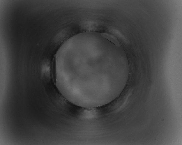 X0000100420720200806061403