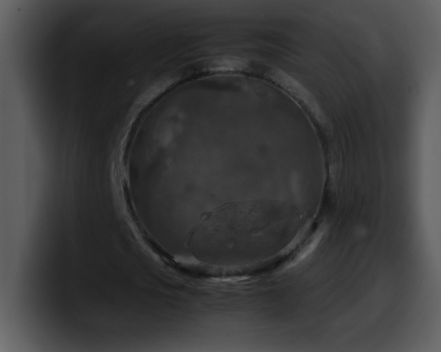 X0000100420721200806061402