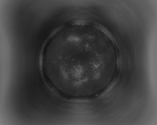 X0000100420722200806061402
