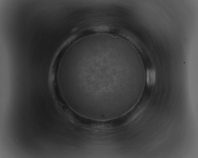X0000100420723200806061402