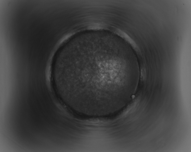 X0000100420724200806061402