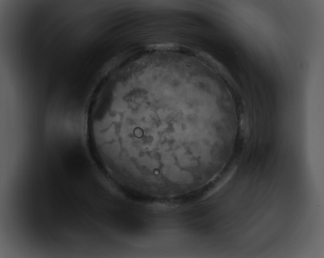 X0000100420725200806061402