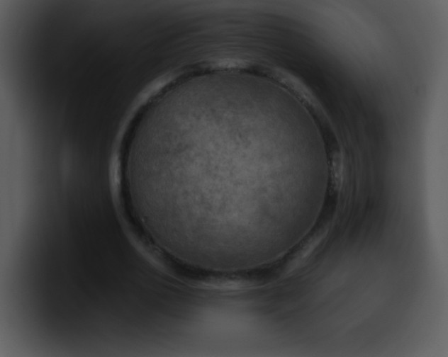 X0000100420726200806061402