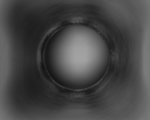X0000100420727200806061402
