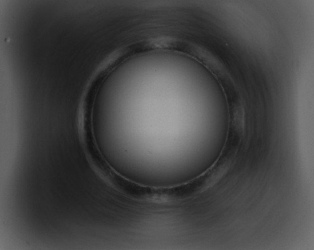 X0000100420730200806061402