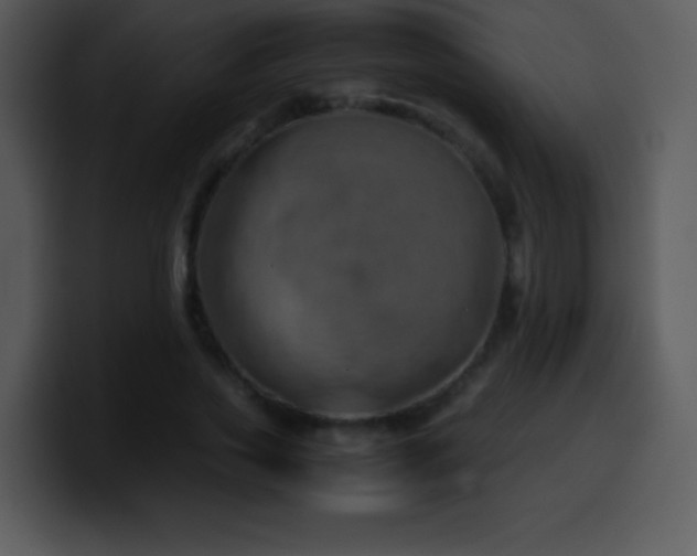 X0000100420733200806061402