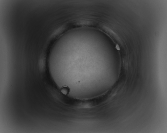 X0000100420735200806061402