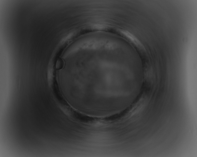 X0000100420736200806061402