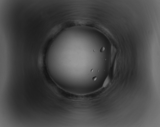 X0000100420738200806061402