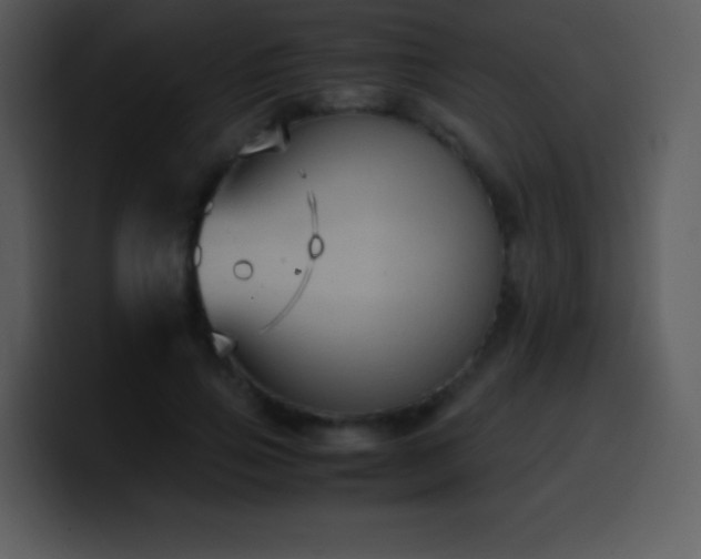 X0000100420741200806061402