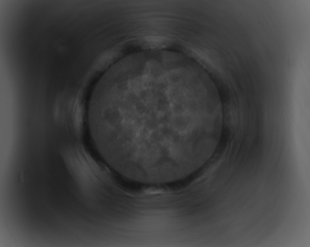 X0000100420742200806061402