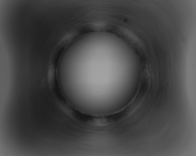 X0000100420744200806061402