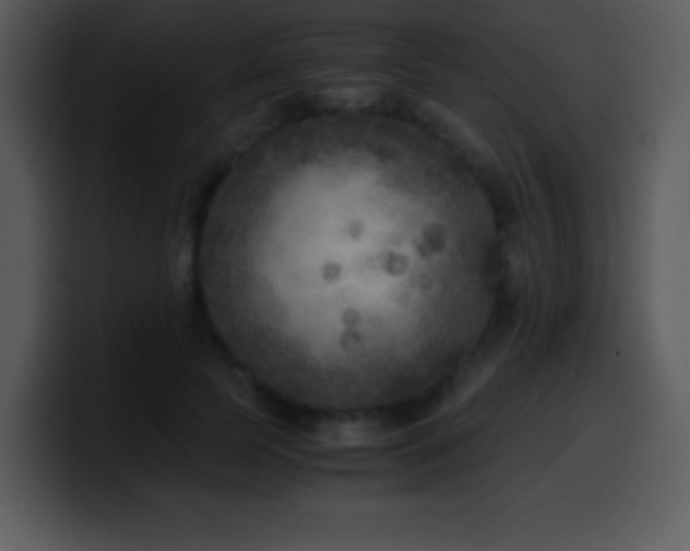 X0000100420745200806061402